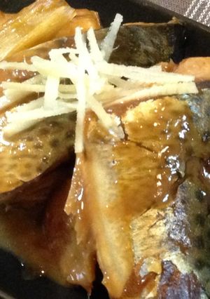 サバの味噌煮-レシピのメイン写真