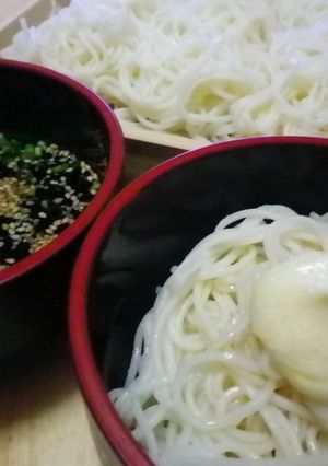 ☆ひなVSパパさん★のおそうめんの食べ方-レシピのメイン写真