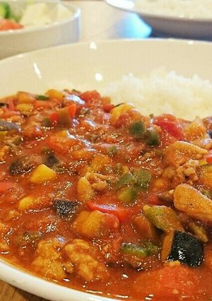 野菜たっぷりトマトカレー-レシピのメイン写真