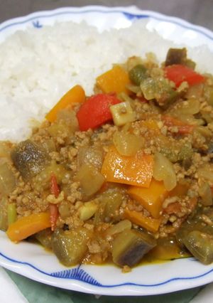夏野菜たっぷり☆カラフルキーマカレー-レシピのメイン写真