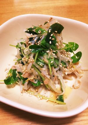 *豆苗ともやしのツナサラダ*-レシピのメイン写真