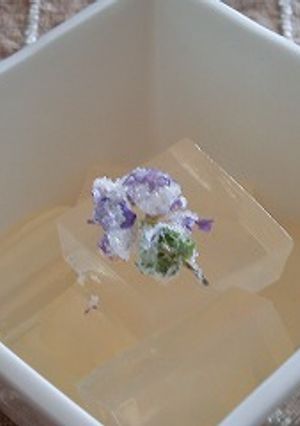 手作り梅サワーでさわやか梅寒天-レシピのメイン写真
