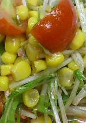 超簡単❤野菜もりもり♥手作りドレッシング-レシピのメイン写真