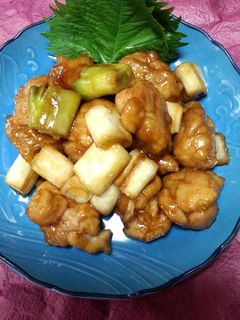 長ネギと 鳥の照り焼き-レシピのメイン写真
