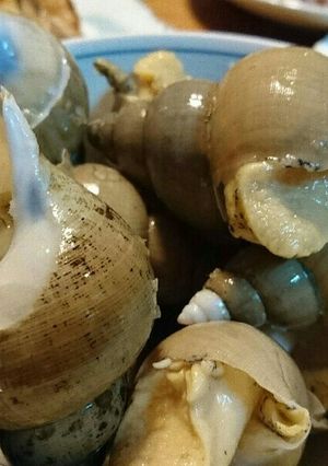 つぶ貝あっさり煮✨おつまみに♪-レシピのメイン写真