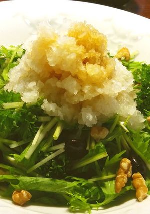 水菜・大根のサラダ-レシピのメイン写真