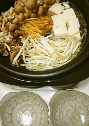 しゃぶしゃぶ炭酸鍋-レシピのメイン写真