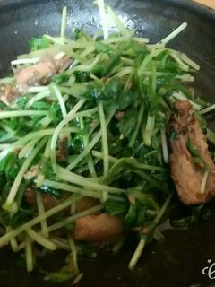 豆苗とさば缶のさっぱり和え-レシピのメイン写真