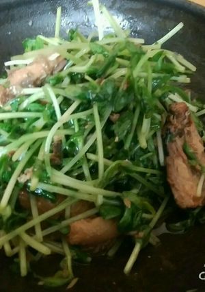 豆苗とさば缶のさっぱり和え-レシピのメイン写真