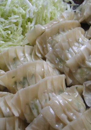 豆腐嫌い克服のもちもち豆腐ギョウザ-レシピのメイン写真