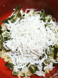 青じそが香る簡単しらす丼-レシピのメイン写真