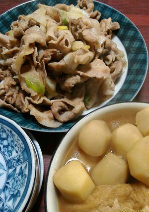 ネギ塩焼肉(๑•̀ •́)و✧-レシピのメイン写真
