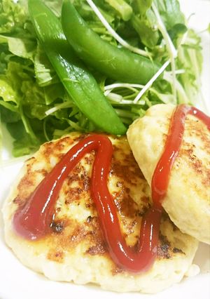 ヘルシー！鶏ミンチの豆腐ハンバーグ-レシピのメイン写真