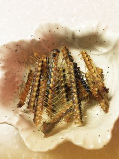 さんまの骨せんべい から揚げ-レシピのメイン写真