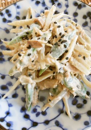 ごぼうといんげん豆のツナサラダ-レシピのメイン写真