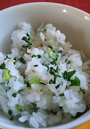 菜飯-レシピのメイン写真