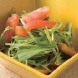 水菜とトマトのサラダ