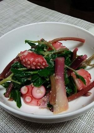 浜ぼうふうの酢味噌あえ-レシピのメイン写真