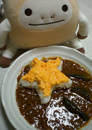 ☆流れ星カレー☆-レシピのメイン写真