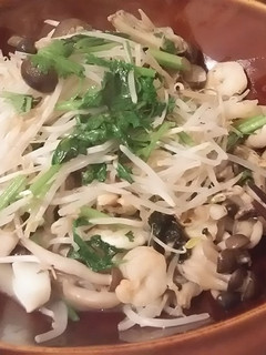 もやしのパクチー炒め-レシピのメイン写真