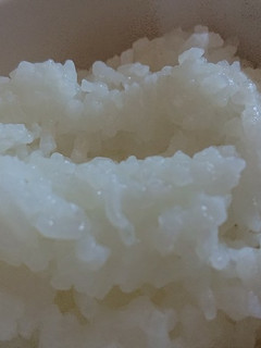 炊飯器が壊れた!鍋で炊いてみよう!-レシピのメイン写真