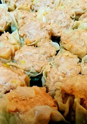 ダシダで旨みたっぷりフライパンで焼売-レシピのメイン写真