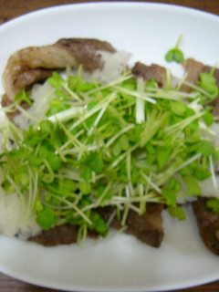 ささっと☆焼肉サラダ仕立て-レシピのメイン写真