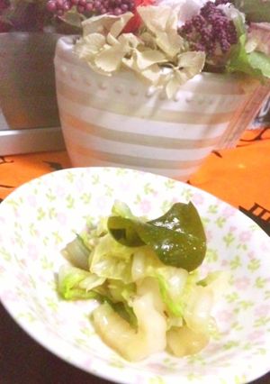 レンジで白菜とわかめの煮びたし-レシピのメイン写真