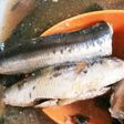 圧力鍋☆秋刀魚☆鰯☆骨まで柔らか煮込み