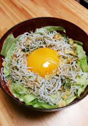 ☆安くて時短!やみつきしらす丼☆-レシピのメイン写真