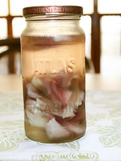 ミョウガの酢漬け✩カンタン酢-レシピのメイン写真