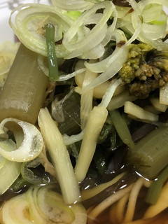 お汁が美味しい山菜蕎麦-レシピのメイン写真