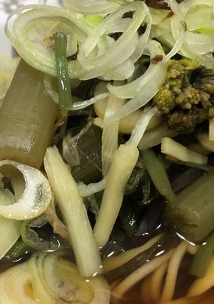 お汁が美味しい山菜蕎麦-レシピのメイン写真
