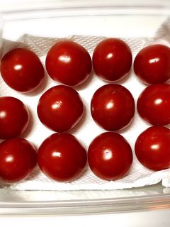 ミニトマトの冷蔵保存★2〜3週間保存可能-レシピのメイン写真