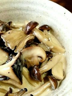 *きのこたっぷりクリーム煮* ソースにも-レシピのメイン写真