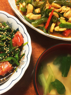 小松菜と舞茸と豆腐の味噌汁-レシピのメイン写真