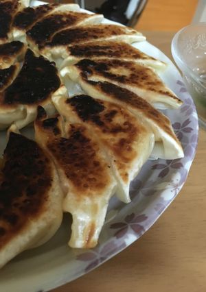 あったもので餃子-レシピのメイン写真