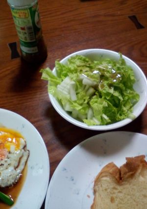 【野菜高騰に生きる料理】新しい白菜食法-レシピのメイン写真