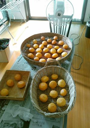 室内で干し柿-レシピのメイン写真