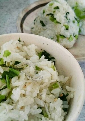 簡単☆しらす入り菜飯-レシピのメイン写真