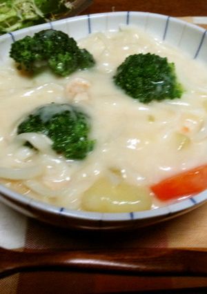 ≪かける派≫　うどんシチュー-レシピのメイン写真