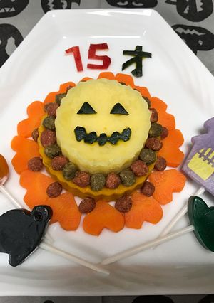 犬用ケーキ ハロウィン 15才-レシピのメイン写真