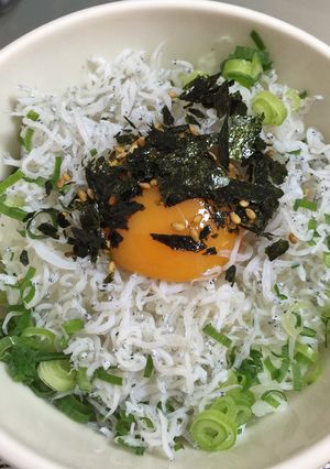 簡単・しらす丼-レシピのメイン写真