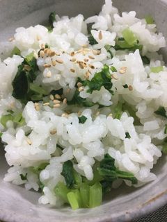 大根菜のご飯♪-レシピのメイン写真