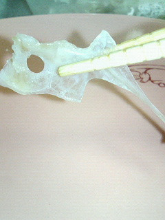 皆さんご存知??鯛のタイ~♪-レシピのメイン写真