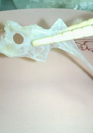 皆さんご存知??鯛のタイ～♪-レシピのメイン写真