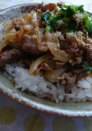 ☆ピリ辛っ♬中華風牛ど～んっ（丼）☆-レシピのメイン写真