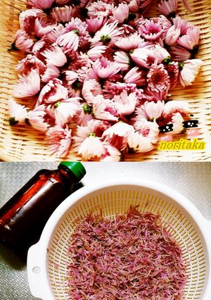料理デハナイが桃色食用菊の下処理ちゃん！-レシピのメイン写真
