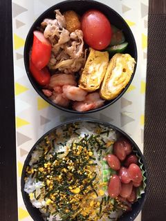 お弁当3(主人用)-レシピのメイン写真