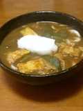 お餅入り油揚げと長ネギのカレーうどん